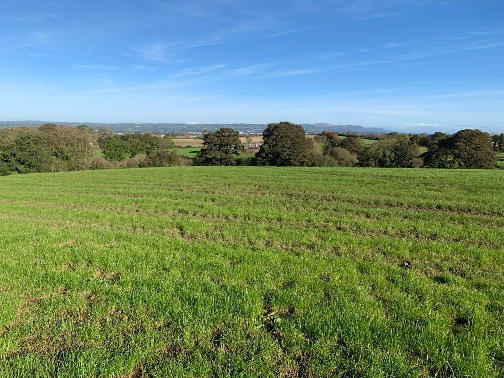 Approx 97 Acres Of Prime Agricultural Lands Off Ballygowa Royal