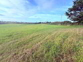 Photo 1 of Site Approx. 50m South Of, Newtownards Road, Comber, Newtownards