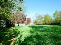 Photo 20 of Knockanes, Patrickswell