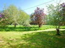 Photo 19 of Knockanes, Patrickswell