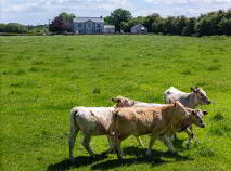 Photo 24 of Clonbrennan, Roscrea