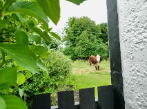 Photo 11 of Ballinard, Herbertstown