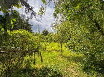 Photo 32 of Shangarry, Myshall