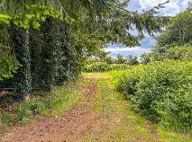 Photo 40 of Shangarry, Myshall