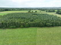 Photo 7 of Cappanafaraha, Bruree