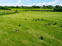 Photo 2 of 19 Acres, Ballyburly, Rhode, Tullamore