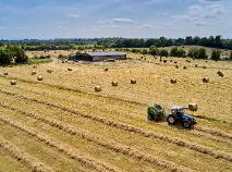 Photo 3 of 118 Acres, Monaghanstown, Castletown-Geoghegan