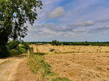 Photo 4 of 118 Acres, Monaghanstown, Castletown-Geoghegan
