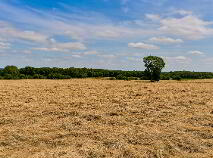 Photo 5 of 118 Acres, Monaghanstown, Castletown-Geoghegan