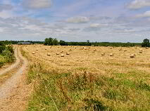 Photo 6 of 118 Acres, Monaghanstown, Castletown-Geoghegan