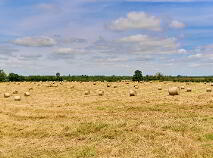 Photo 7 of 118 Acres, Monaghanstown, Castletown-Geoghegan