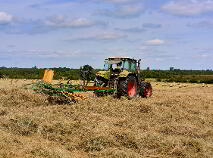 Photo 15 of 118 Acres, Monaghanstown, Castletown-Geoghegan