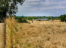 Photo 16 of 118 Acres, Monaghanstown, Castletown-Geoghegan