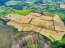 Photo 2 of 118 Acres, Monaghanstown, Castletown-Geoghegan