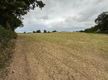Photo 2 of Courtnabooly, West , Callan