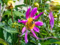 Photo 47 of 35 College Gardens, Carlow Town, Carlow Town