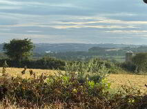 Photo 13 of Ballynamultina, Clashmore