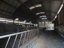 Photo 19 of 45.96 Acres, Shesharoe, Portroe, Nenagh