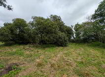 Photo 12 of Roosky, Doocastle