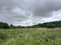 Photo 1 of Approx, 4.77 Ha (11, 8 Acres), Ballincurry, Castlerea