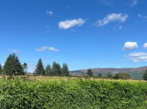 Photo 14 of Knockboy, Ballinamult