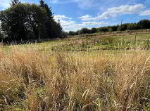 Photo 15 of Knockboy, Ballinamult