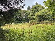 Photo 7 of Knocknaglogh, Dungarvan