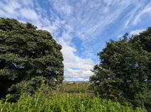 Photo 21 of Heather Haven, Cuiltydangan, Riverstown