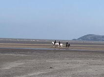 Photo 16 of Leagh, Ring, Dungarvan