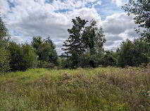 Photo 24 of Kiltynaskellan, Ballyconnell