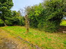 Photo 17 of The Demesne, Frenchpark, Castlerea
