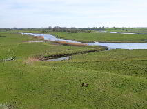 Photo 29 of Parkmore, Athleague