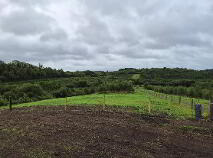 Photo 18 of Derrindrehid, Aghavas