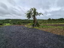 Photo 21 of Derrindrehid, Aghavas