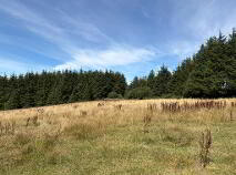 Photo 9 of Residential Farm Standing On 20.43 Acres, Knocknaglogh, Dungarvan
