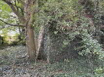 Photo 4 of Knockainey Hill, Hospital
