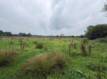 Photo 3 of Ballyrobin, Newcastle West