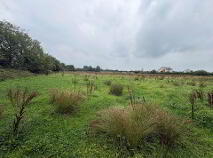 Photo 2 of Ballyrobin, Newcastle West