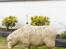 Photo 34 of 5 Clonattin Road, Gorey