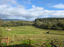Photo 35 of Tullynamoltra, Swanlinbar