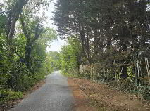 Photo 10 of Development Land Off Newcastle Road (folio 4245), Hayden's Lane, Lucan