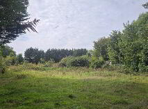 Photo 13 of Development Land Off Newcastle Road (folio 4245), Hayden's Lane, Lucan