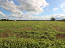 Photo 9 of 1, Clooninihy, Ballinderry, Nenagh