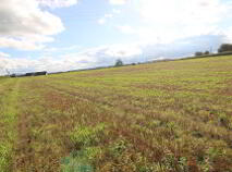 Photo 12 of 1, Clooninihy, Ballinderry, Nenagh