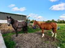 Photo 12 of 23.5 Acres With Residence Ballinadrimna, Athboy