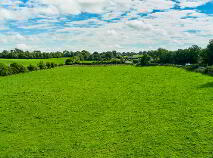 Photo 3 of 33.5 Acres Ranavogue, Crossakiel, Kells