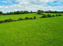 Photo 4 of 33.5 Acres Ranavogue, Crossakiel, Kells