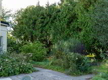 Photo 55 of Eagle Lodge, Convent Road, Roscommon Town