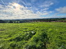 Photo 8 of Knockevagh, Rathvilly