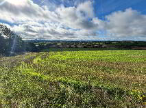 Photo 9 of Knockevagh, Rathvilly